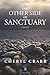 The Other Side of Sanctuary: A novel