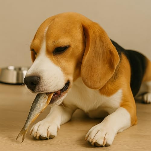 Gaczoo - Sprotten für Hunde Getrocknet - Getrockneter Fisch für Hund - 100% Trockenfisch, Hundeleckerli, Trainingsleckerli - ohne Zusätze, reich an Omega 3, Fettarm - 500g