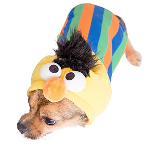 Disfraz Bert para perro talla pequeña miniatura 2