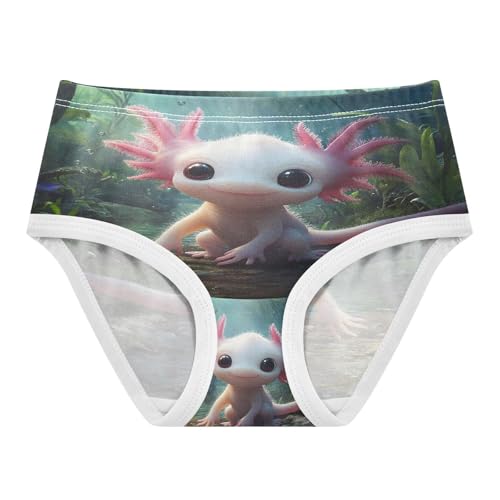 Cute Axolotl Undersea Toddler Girls's Underwear 2T 202b8844