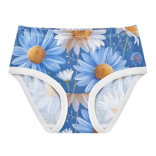 Toddler Underwear Custom 2t Cotton Cute Panties Girl Animals Kids Briefs Undies Daisies Cornflowers Blue