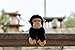 The Petting Zoo Chimp Stuffed Animal Plushie, Gifts for Kids, Earth Keeperz Wildlife Animals, Zoologee Black Chimp Plush Toy, 10 inches