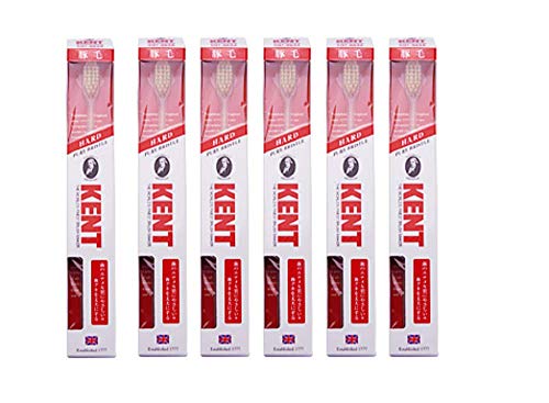 KENT 豚毛歯ブラシ KNT-9833 コンパクトヘッド かため