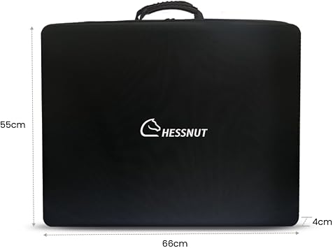Chessnut Move Premium Carrying Case Ultimate Protection & Portability
