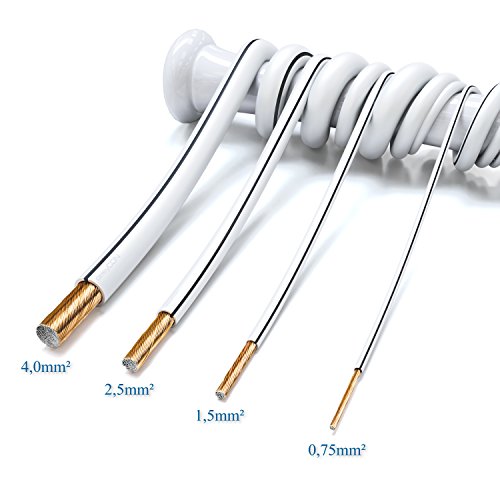 DeleyCON 10m Cavo per Altoparlanti 2x 4,0mm² Cavo