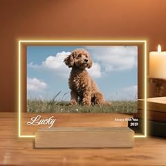 Horizontal version 2