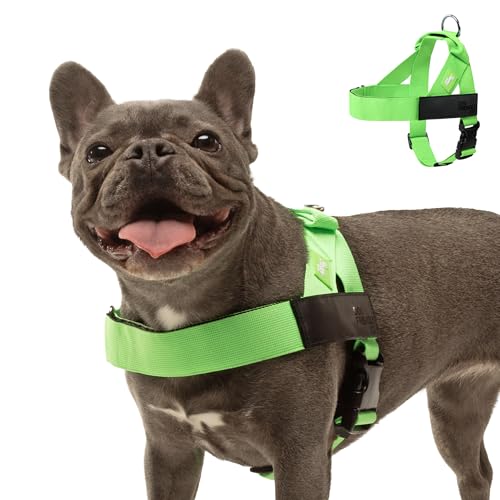Image of Dog Friendly Co. Dog Harness for Small Dogs (Neon Green, Small)