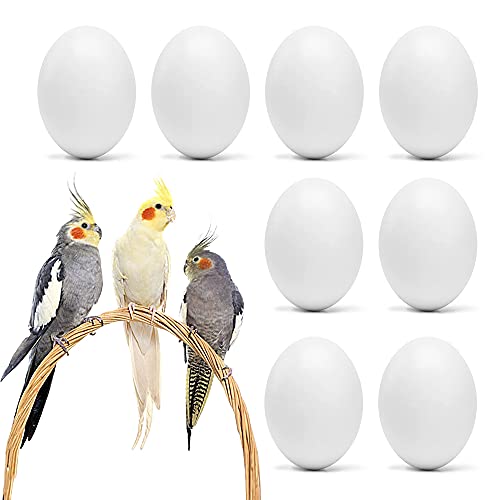 FORZENA Fake Bird Eggs Stop Egg Laying fit Cockatiels, Green Cheeks, Lovebird, Ringneck Dove, Lorikeet, Bourke Parakeet, Quaker Parrots (8PC)