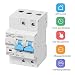 Disyuntor Inteligente WiFi 2P 63A,eMylo Interruptor De Circuito Inalambrico Smart Circuit Breaker...