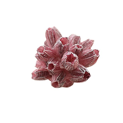 Bomcomi 1pcs Vert résine Corail Étoile de mer décoratifs Aménagement paysager Aquarium de Poissons décoratifs Cover