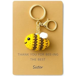 Sister Gifts from Sisters For Women Birthday Gift Funny Sis Wives Cool Bee KeyChain Adult Sister In Law Gifts
