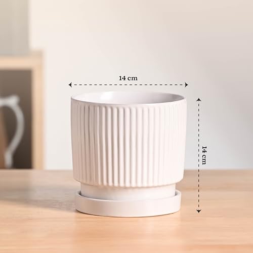 Image of UGAOO Roma Ceramic Pot |Indoor Ceramic Planter for Home, Office, Garden, Balcony - White (5 Inch)