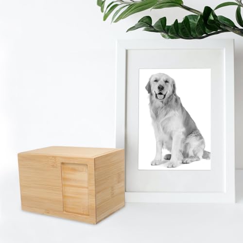 Boîte commémorative chat et chien pour garder un souvenir intact - 7