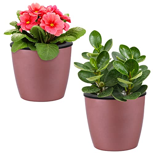 Amazon Brand – Umi Set of 2 Pink Colour Pots for Plant - 7 Inches Self Watering Flower Pot Good for Indoor & Balcony Decor Plastic Gamla Planter (Only Pots)