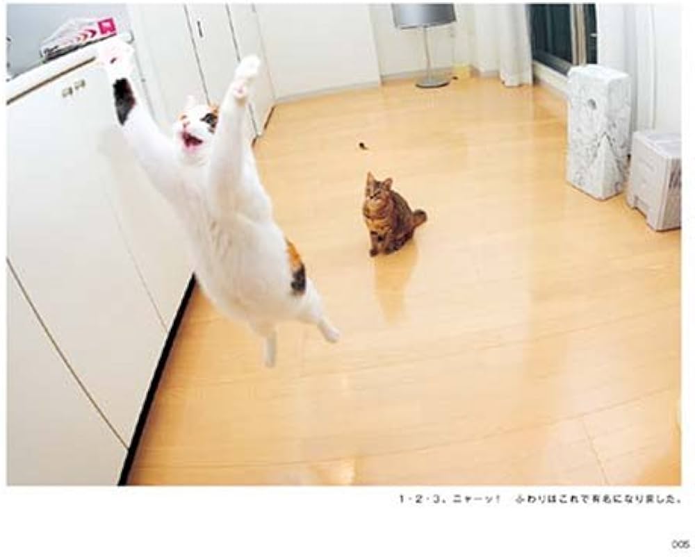 そらとぶねこ | junku |本 | 通販 | Amazon