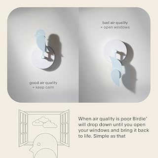 Birdie 2.0 - Design Indoor CO2 Monitor - Luftqualitätsmessgerät für Haus & Büro - Fördert die geistige & körperliche Gesundheit - Reduzierung von Gesundheitsrisiken durch saubere Luft (Gletscher)