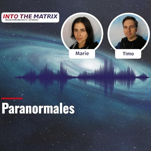into the matrix - Paranormales cover art