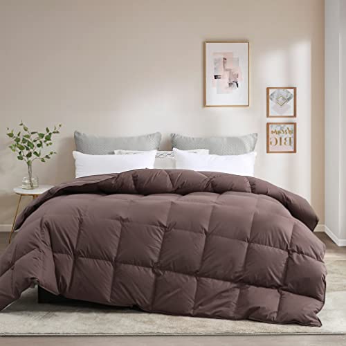 C&W Goose Down Comforter King Size,Goose Down Duvet King with 8 Tabs,650 Fill Power 60oz Fill Weight Brown Solid
