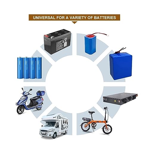 Moniteur de batterie Bluetooth DC 0-120V pour autonomie en van - 4