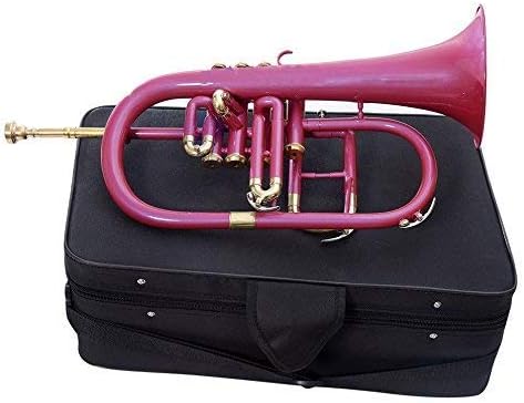 SM'Sai Musicals 4 Valve Flugel Horn With Mouthpiece And Hard Case For School Band Fuscia Pink Flugel Horn BB Pitch Brass Musical Instrument For Orchestra Beginners Professionals