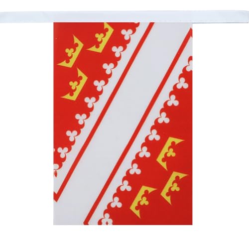 Image of AZ FLAG Alsace 6 meters BUNTING Flag 20 flags 9'' x 6'' - French region of Alsace STRING flags 15 x 21 cm