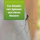 ARDAP Repell Spinnenspray 400ml - Spinnenabwehr - Anti Spinnenspray - Spinnen Abwehrmittel - Spray gegen Spinnen - Mittel gegen Spinnen - Anti Spinnenspray außen - Wirkt schnell & effektiv (PT19)