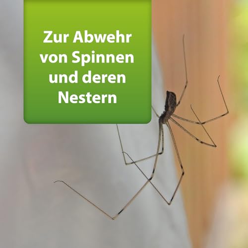 ARDAP Repell Spinnenspray 2 x 400ml - Spinnenabwehr - Anti Spinnenspray - Spinnen Abwehrmittel - Spray gegen Spinnen - Mittel gegen Spinnen - Anti Spinnenspray außen - Wirkt schnell (PT19)