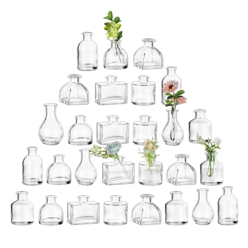 Glasseam Clear Glass Vases for Centerpieces: Mini Flower Vase Set