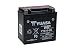 Yuasa YTX14-BS - Batería con paquete de ácido, 12 V, 14.5 x...