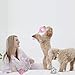 FONPOO Juguetes para Perros, Juguetes para Perros Pequeños, Juguete Antiestres Perro Conjunto...