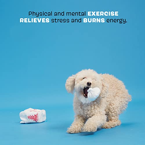 Barkbox 2 in 1 Interactive Plush Dog Toy Rip and Reveal Dog Toy for