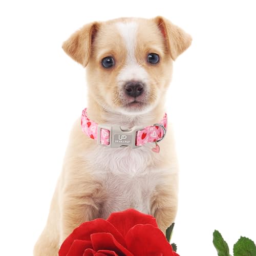 Image of Valentine's Day Dog Collar, Pink Heart Dog Collar with Quick Release, Valentine's Day Gift Pet Girl Boy Dog Collar for Puppy Small Medium Dogs, Wedding Dog Collar