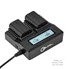Green Extreme 2 Pack DMW-BLK22 Battery and Dual Charger Kit (7.2V, 2250mAh)