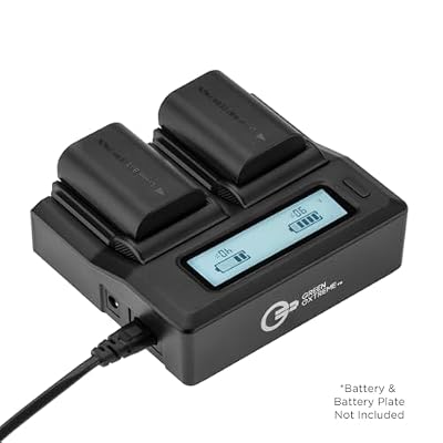 Green Extreme 2 Pack DMW-BLK22 Battery and Dual Charger Kit (7.2V, 2250mAh)