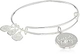 Alex and Ani Because I Love You With Swarovski Crystal Shiny Silver Bangle Bracelet