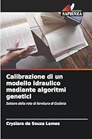 Calibrazione di un modello idraulico mediante algoritmi genetici: Settore della rete di fornitura di Goiânia (Italian Edition) 6208792541 Book Cover