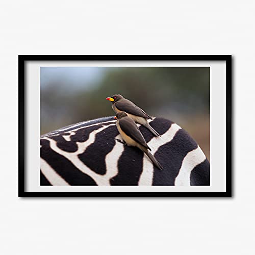 Cadre photo 60x40 cm Tulup en bois MDF avec motif moderne oiseaux et zèbres