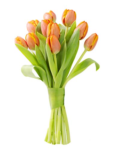 Image of KaBloom-10 Orange Tulip Bouquet,Flowers for Valentine, Mother's Day