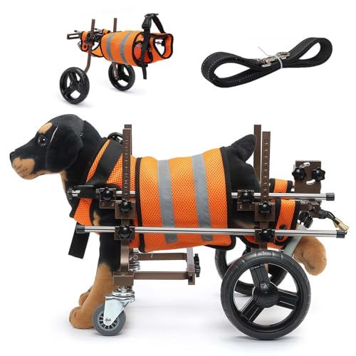 後脚用犬用車椅子、軽量ペット移動補助具(牽引ロープ付き)、調整可能ペット車椅子&犬用カート、犬用脚部ブレース&股関節サポート、後肢障害用 gray