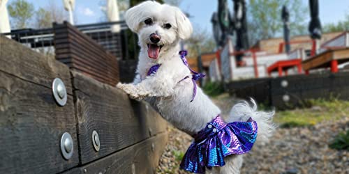 Image of CuteBone Dog Bikini Dress, Stylish Swimsuit Costume for Small Dogs, Comfortable & Adjustable Puppy Bathing Suit, Soft Outfit Pet Apparel for Beach, Pool and Summer Fun DB07S