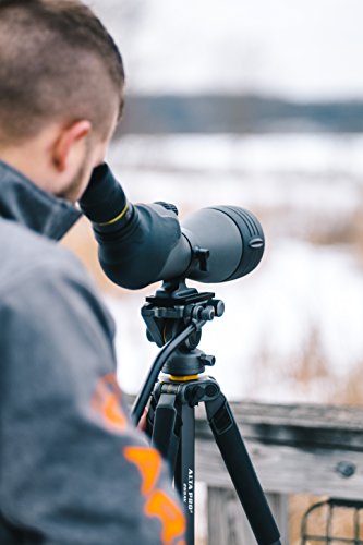 Vanguard Endeavor Hd 82A Angled Eyepiece Spotting Scope, 20-60 X 82, Ed Glass, Waterproof/Fogproof , Black And Gray #TOP6