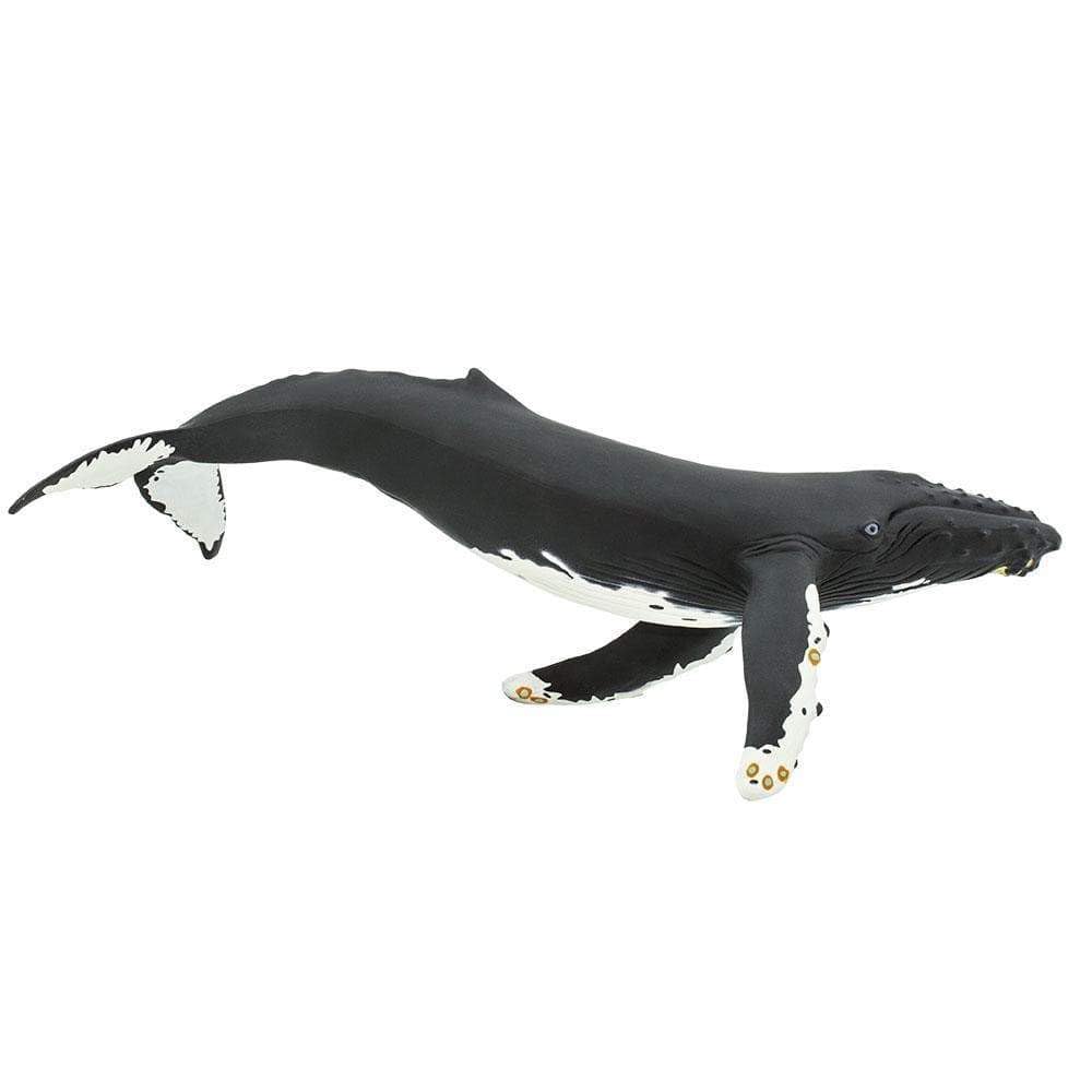 Amazon | Safari (サファリ) MB ザトウクジラ フィギュア