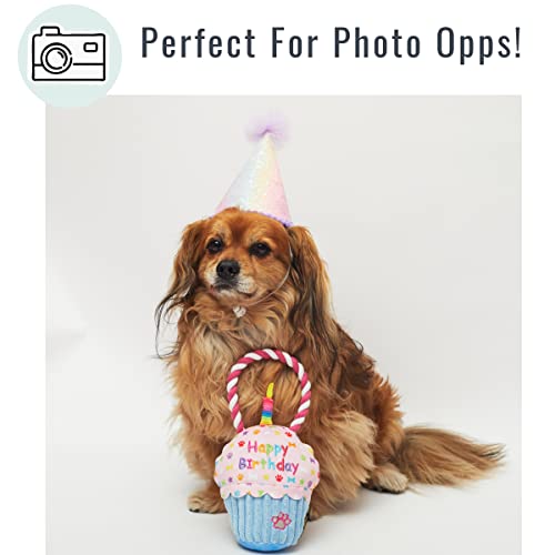 Pet London Happy Birthday Cupcake Dog Toy with Squeaker and rope tug-Celebrate Your Dog's Bday or Adoption Gift - Image 7