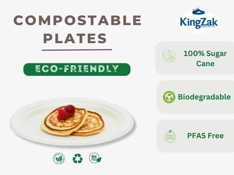 Nicole Home Collection Eco-Friendly 100% Compostable Sugarcane/Bagasse Heavy Duty Plates,10 Inch (10" - 100 count)