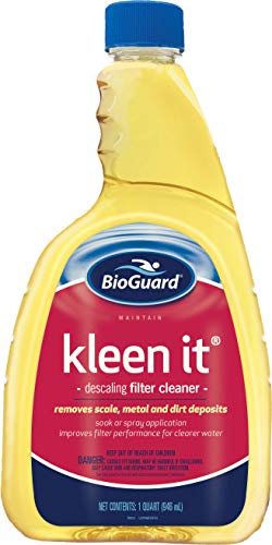 BioGuard Kleen It Filter Cleaner (1 qt) (2 Pack)