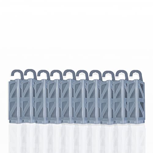 Biocare Demi Diamond - Trampas para polillas de ropa, trampas para monitoreo de feromonas para armarios y armarios, no tóxicas, sin insecticidas, trampas para detección temprana de polillas (solo 10
