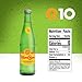 Topo Chico Grapefruit Mineral Water Glass Bottle 12 fl oz 12 Pack + 80 Disposable Food Grade Plastic Straws by QUALITATT 10 Brand