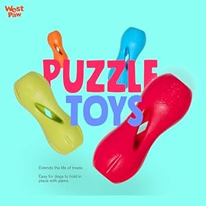   West-Paw-Zogoflex-Qwizl-Dog-Puzzle-Treat-Toy--Interactive-Chew-Toy-for-Dogs--Dispenses-Pet-Treats--Brightly-Colored-Dog-Enrichment-Toy-for-Aggressive-Chewers-Fetch-Catch-Large-65-Aqua-Blue