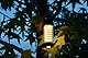 moses. Expedition Natur Outdoor Allroundlicht, Kinder Campinglampe mit 2 Lichtquellen, dimmbare LED-Spiralleuchte & Taschenlampe für Camping, Zelten und andere Outdoor-Abenteuer