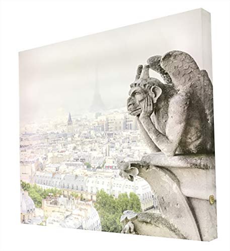 Tableau illuminé Gárgola à Notre Dame de Paris CCRETROILUMINADOS 60x60 cm
